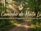 O Caminho de Muita Luz: Como Encontrar Propósito e Clareza na Vida